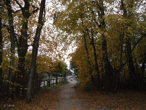 2011-10-29 Fietstochtje herfst (60)