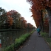 2011-10-29 Fietstochtje herfst (7)
