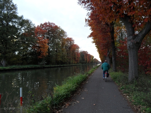 2011-10-29 Fietstochtje herfst (7)