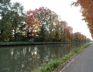 2011-10-29 Fietstochtje herfst (8)