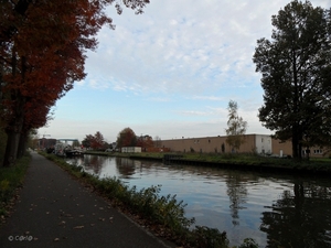 2011-10-29 Fietstochtje herfst (9)