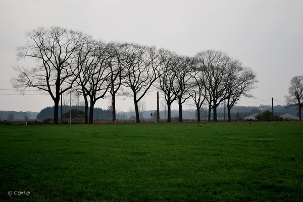 2011-11-08 JanMed Retie (103)