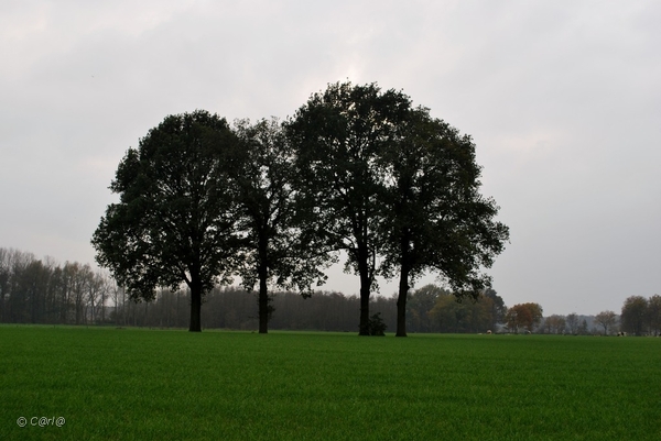 2011-11-08 JanMed Retie (108)