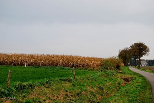 2011-11-08 JanMed Retie (111)