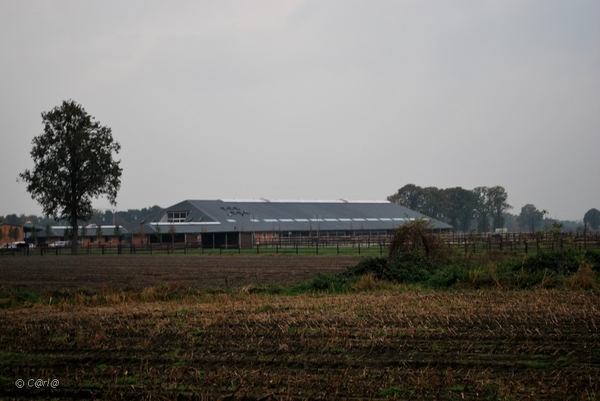 2011-11-08 JanMed Retie (115)