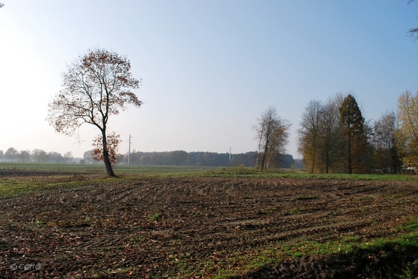 2011-11-08 JanMed Retie (12)