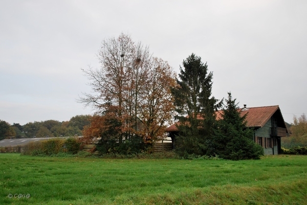 2011-11-08 JanMed Retie (120)