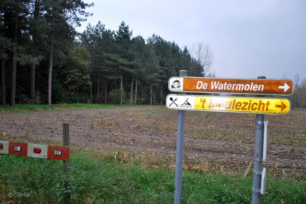 2011-11-08 JanMed Retie (123)