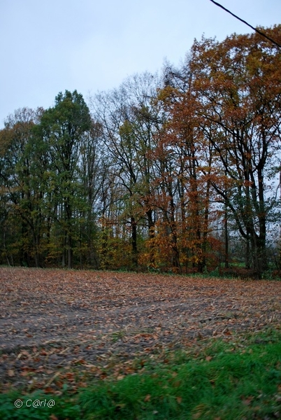 2011-11-08 JanMed Retie (125)