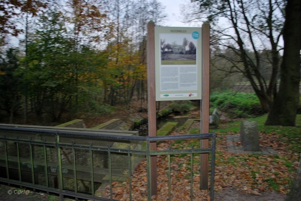 2011-11-08 JanMed Retie (127)