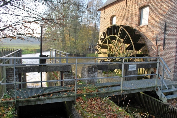 2011-11-08 JanMed Retie (19)