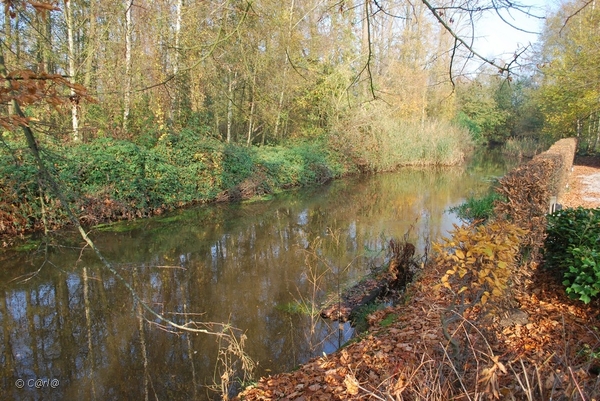 2011-11-08 JanMed Retie (28)