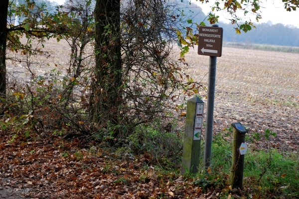 2011-11-08 JanMed Retie (50)