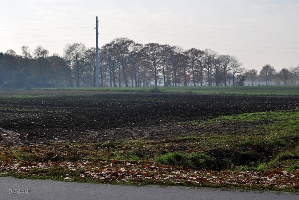 2011-11-08 JanMed Retie (8)