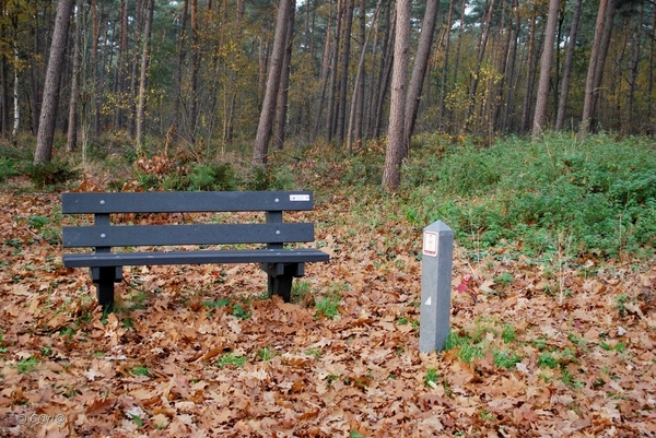 2011-11-08 JanMed Retie (88)