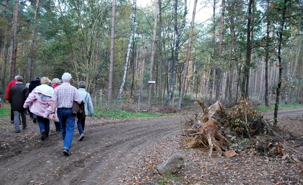 2011-11-08 JanMed Retie (90)