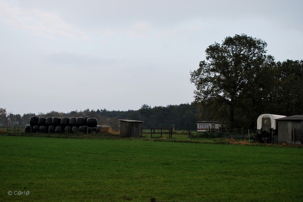 2011-11-08 JanMed Retie (98)