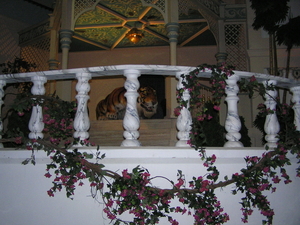 efteling 039
