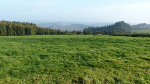 Corbion 2011 021