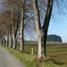 Corbion 2011 023
