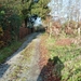 Corbion 2011 025