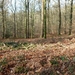Corbion 2011 030