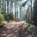 Corbion 2011 031
