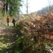 Corbion 2011 032