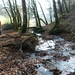 Corbion 2011 037