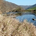 Corbion 2011 038
