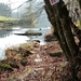 Corbion 2011 041