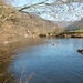 Corbion 2011 043