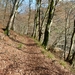 Corbion 2011 045