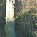 Corbion 2011 047