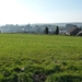 Corbion 2011 048