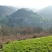 Corbion 2011 049