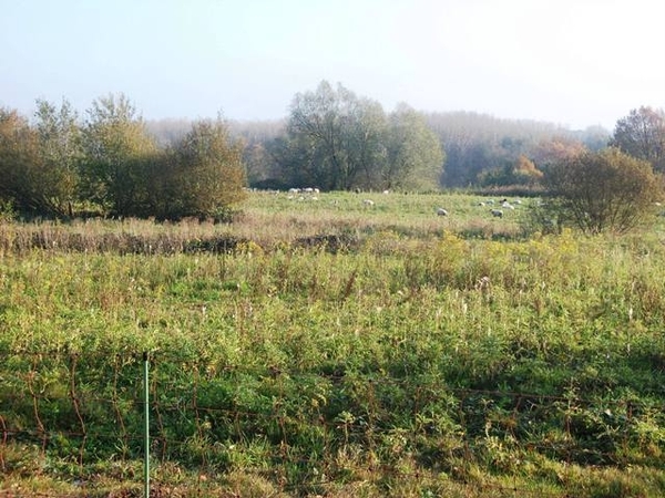 123-Natuurgebied van Fort Steendorp