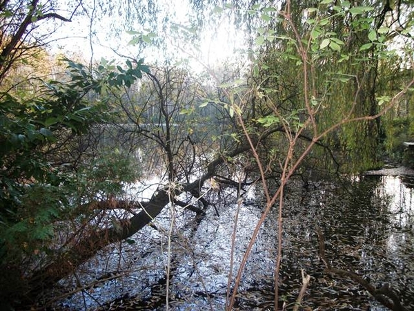 146-Gelaagpark met natuurgebied en vijvers