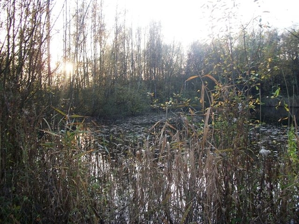 144-Gelaagpark-6.5ha voorm.kleigroeve