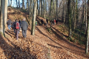 060 Massembre november 2011 - domeinwandeling en voederen dieren