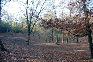 065 Massembre november 2011 - domeinwandeling en voederen dieren