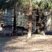075 Massembre november 2011 - domeinwandeling en voederen dieren