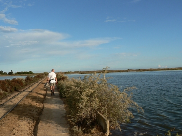 Portugal Algarve Ria Formosa