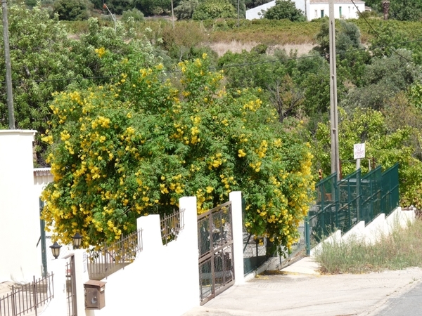 Portugal Algarve