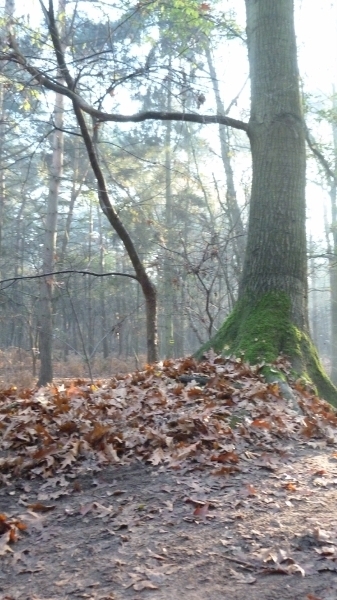 P1040689