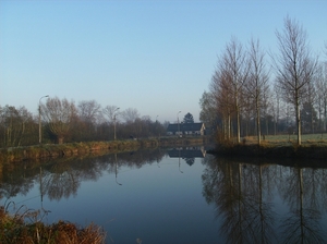 Zwijnaarde November 2011 003