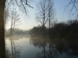 Zwijnaarde November 2011 004