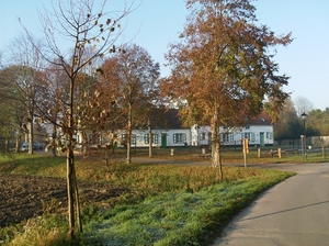 Zwijnaarde November 2011 005