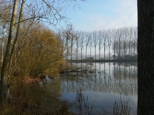 Zwijnaarde November 2011 010