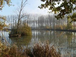 Zwijnaarde November 2011 011